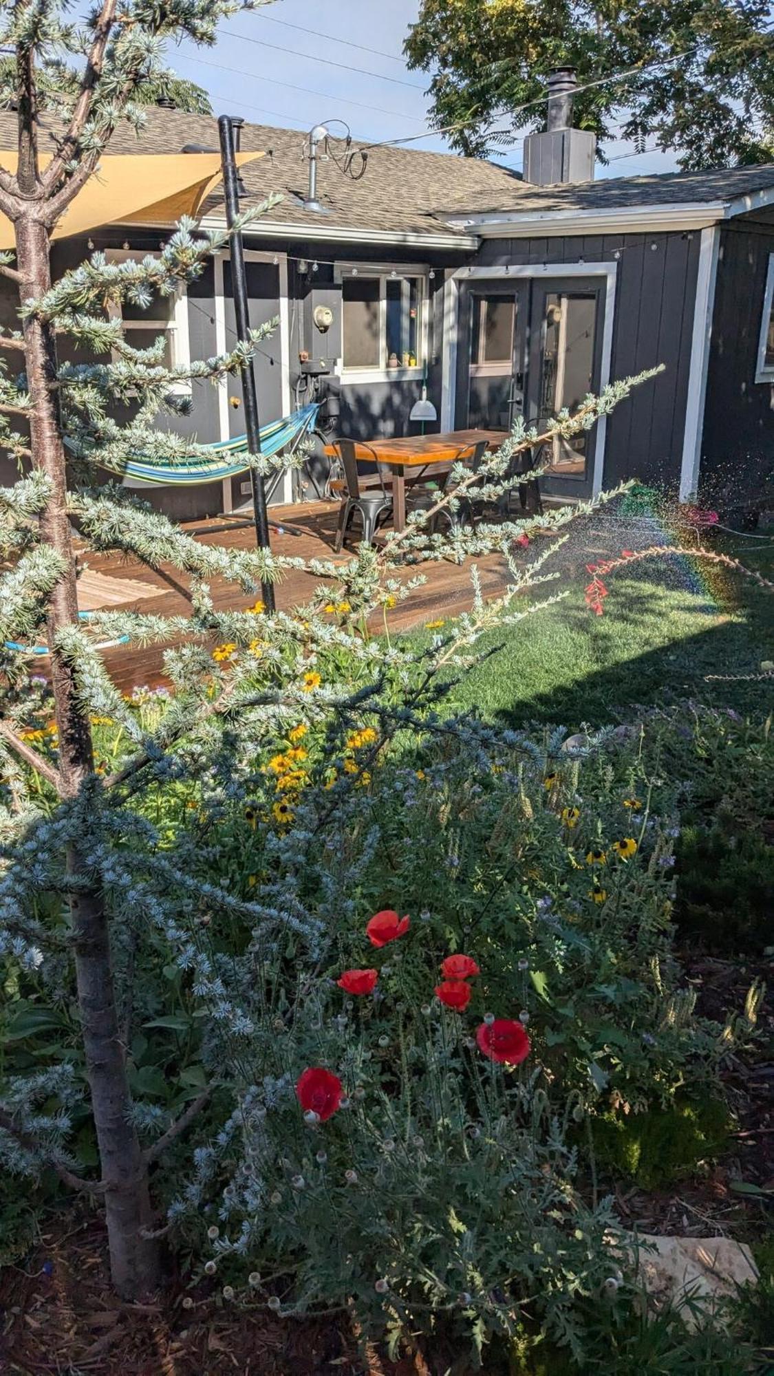 The Midtown Reno Orchard Exterior foto